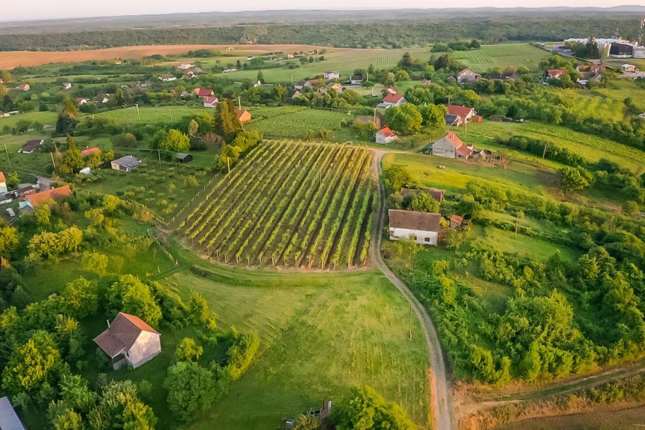 Village Wine House Mandicevac Luaran gambar