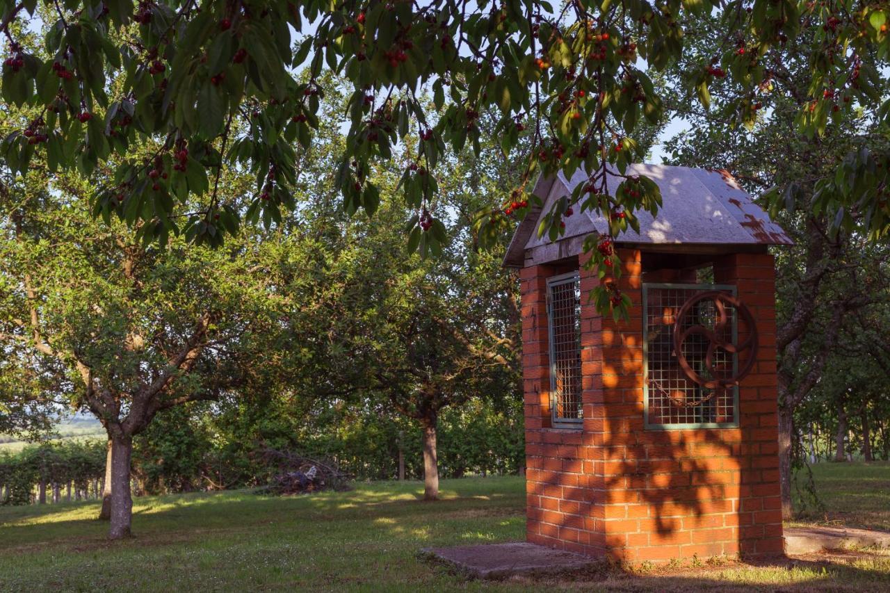 Village Wine House Mandicevac Luaran gambar