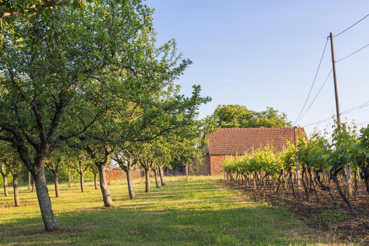 Village Wine House Mandicevac Luaran gambar