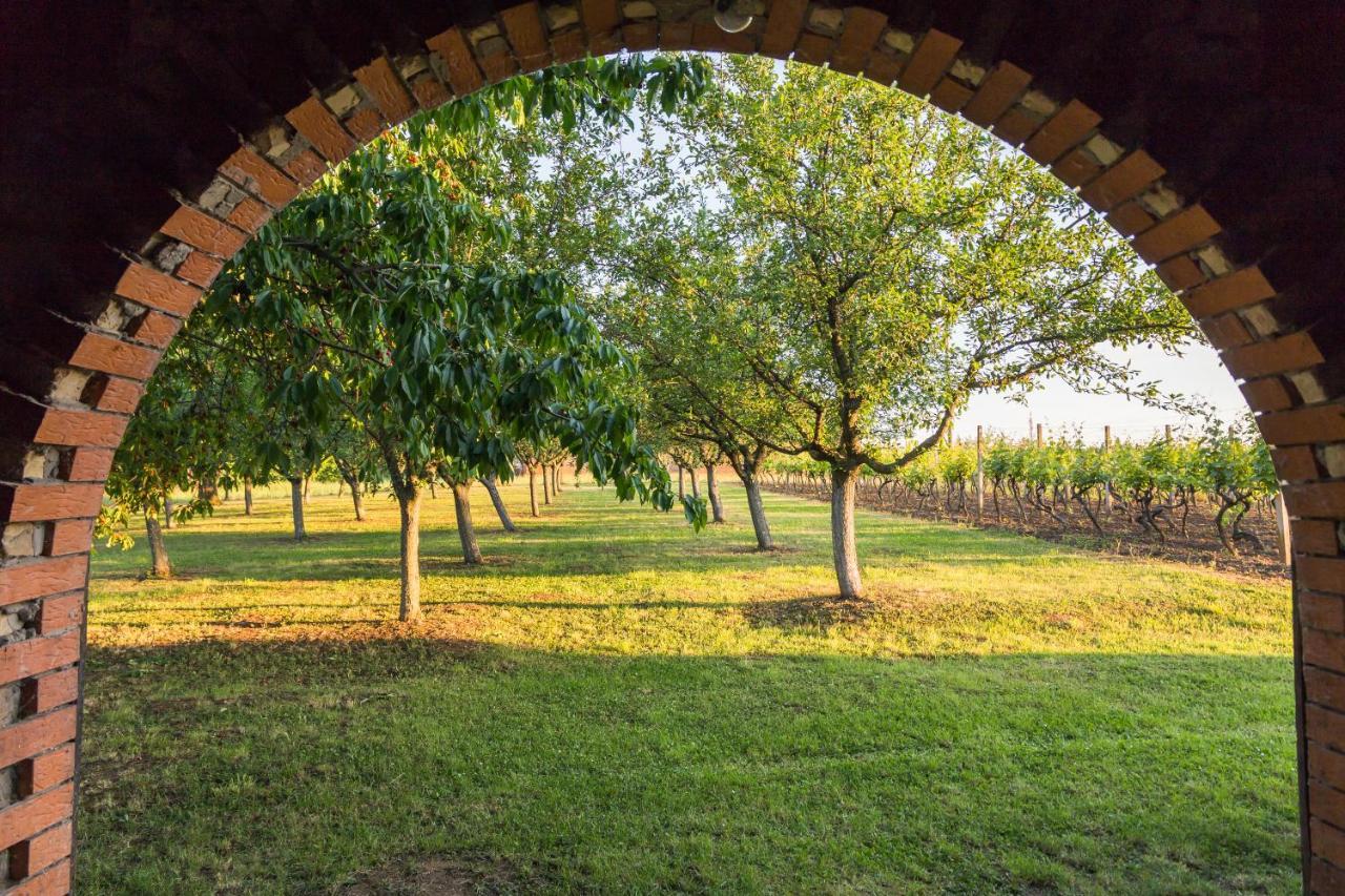 Village Wine House Mandicevac Luaran gambar