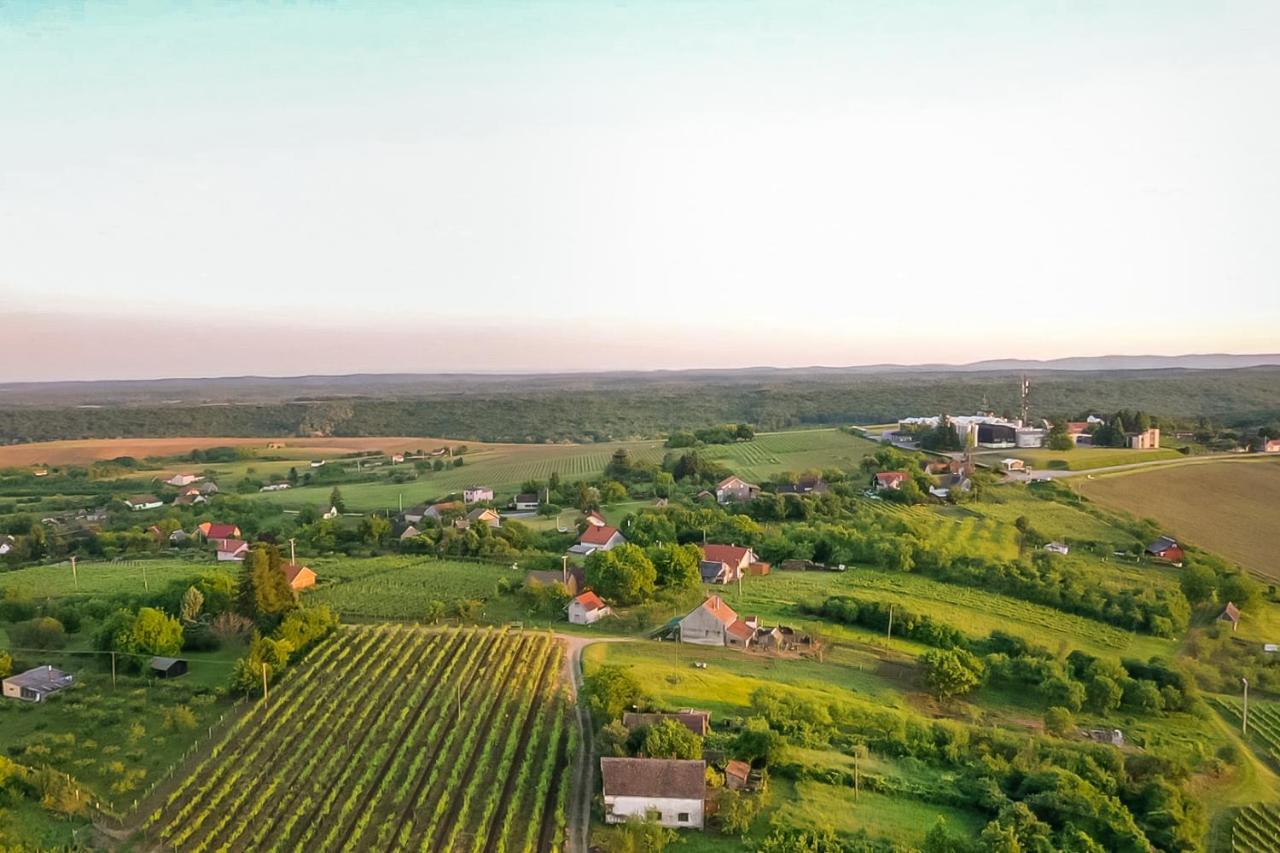 Village Wine House Mandicevac Luaran gambar