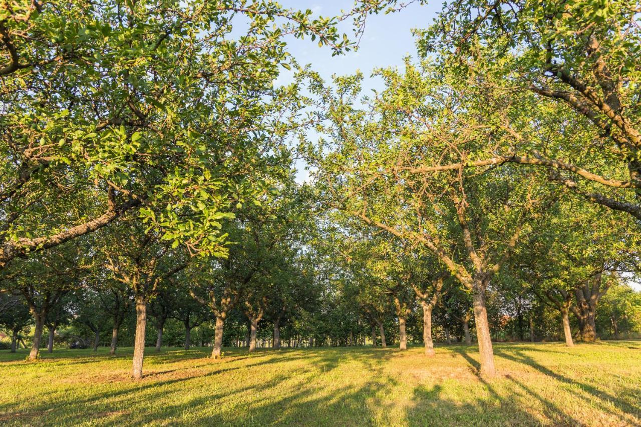 Village Wine House Mandicevac Luaran gambar