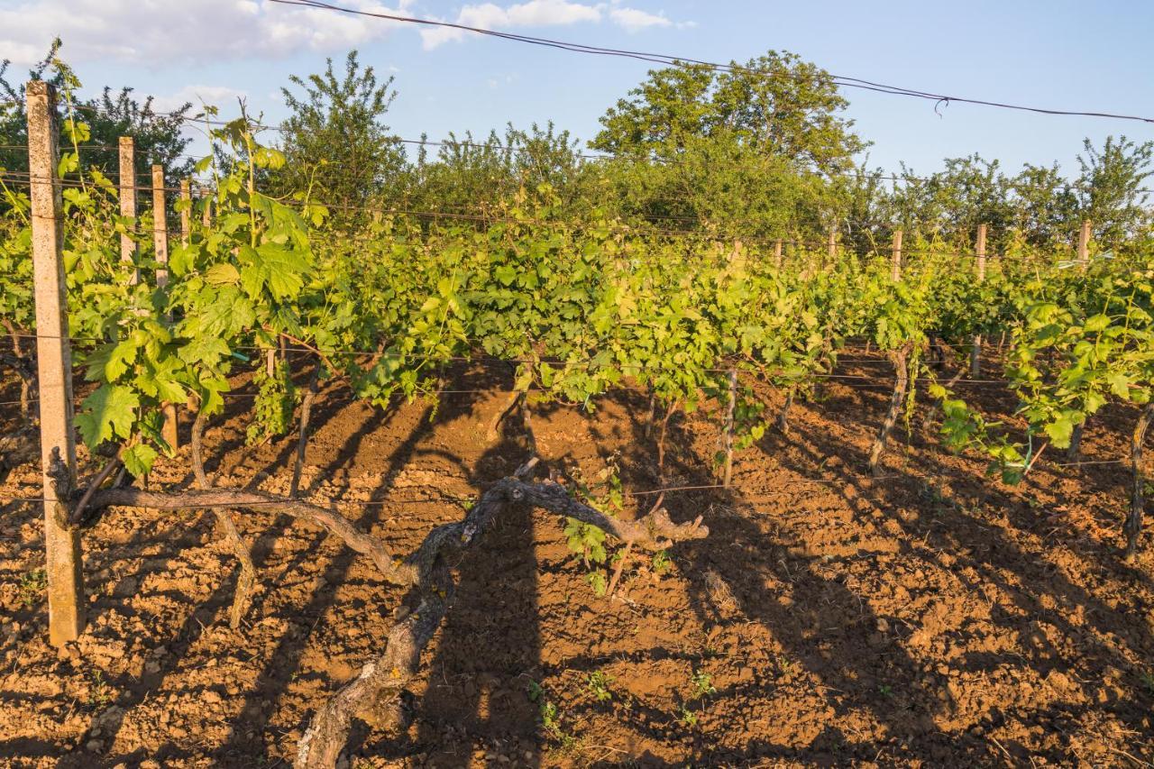Village Wine House Mandicevac Luaran gambar