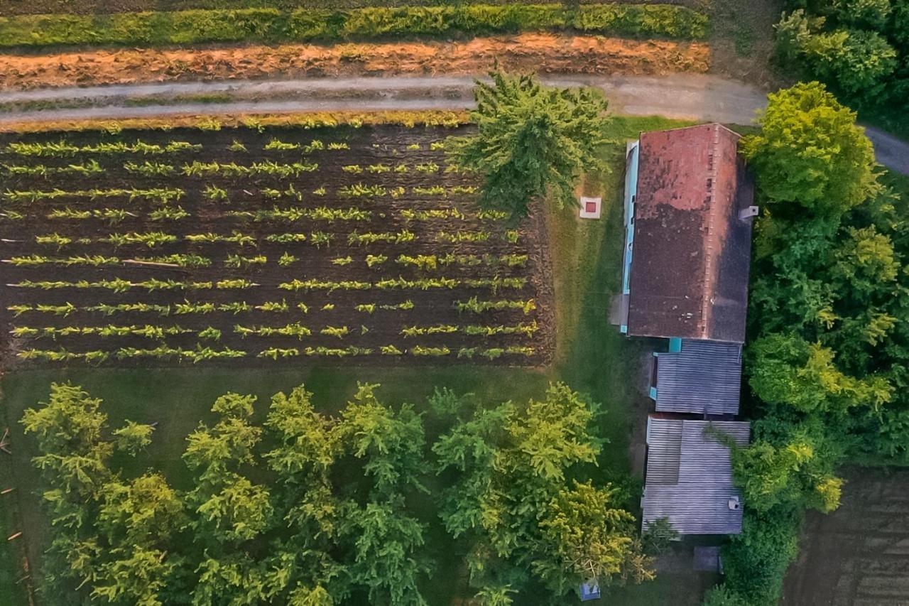 Village Wine House Mandicevac Luaran gambar