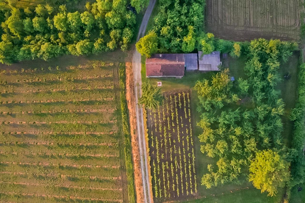 Village Wine House Mandicevac Luaran gambar