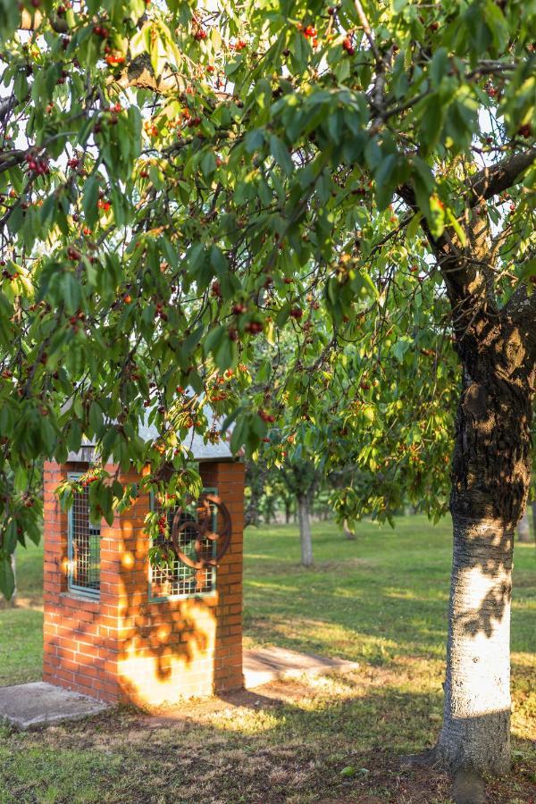 Village Wine House Mandicevac Luaran gambar