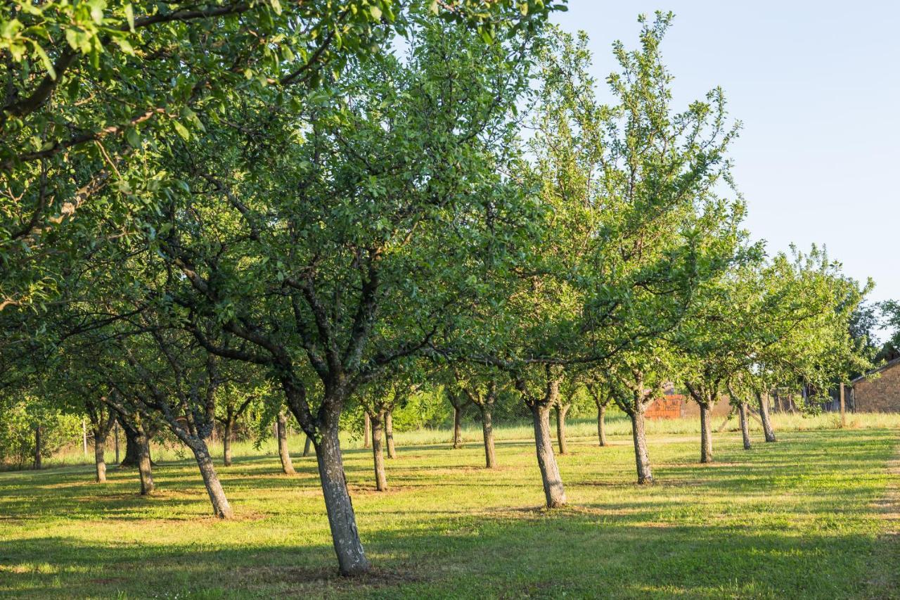 Village Wine House Mandicevac Luaran gambar