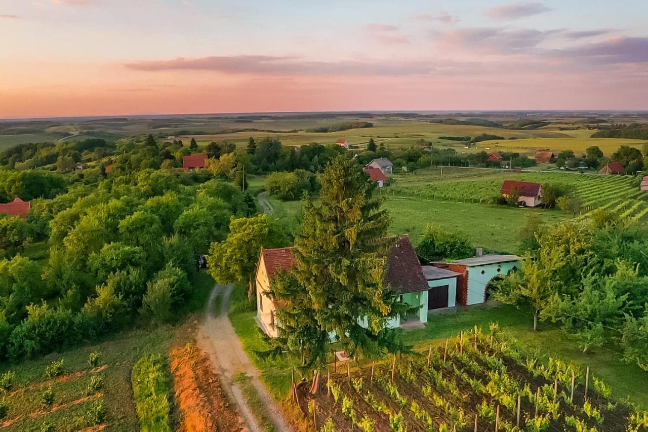 Village Wine House Mandicevac Luaran gambar