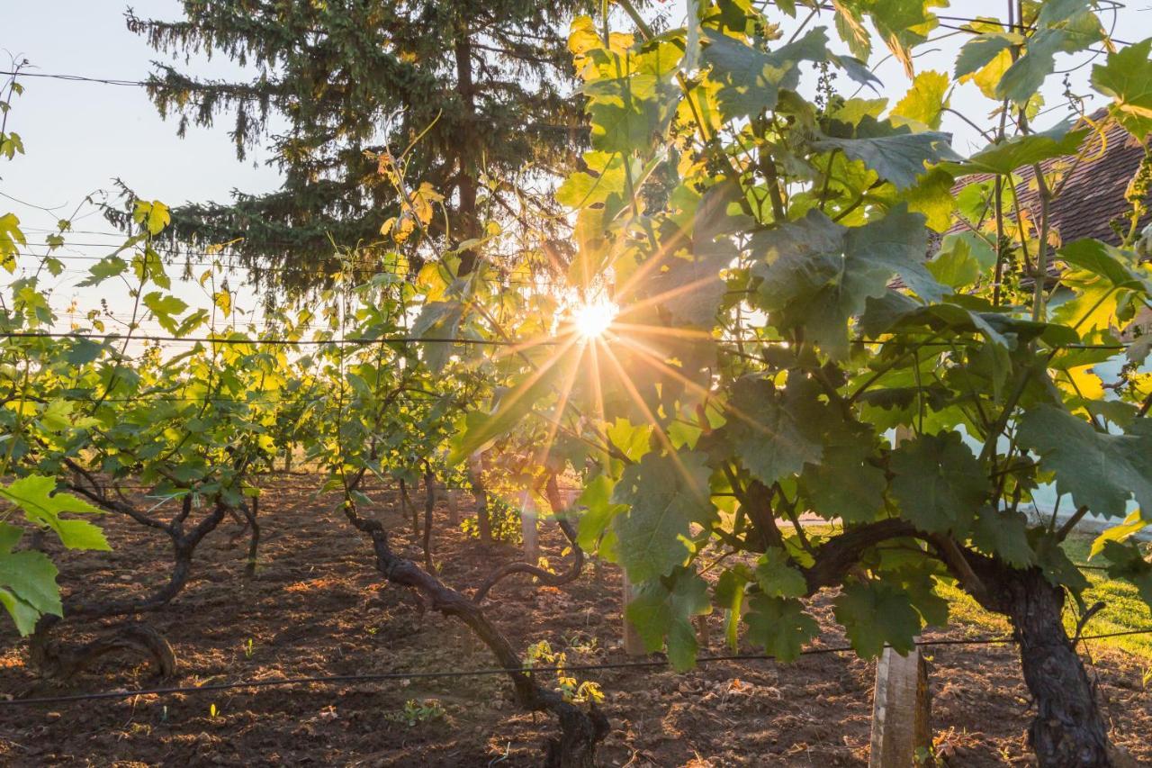 Village Wine House Mandicevac Luaran gambar