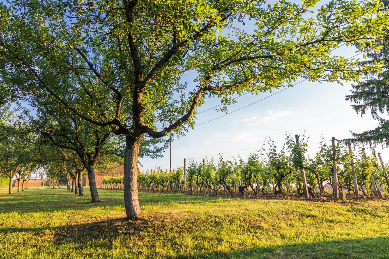Village Wine House Mandicevac Luaran gambar