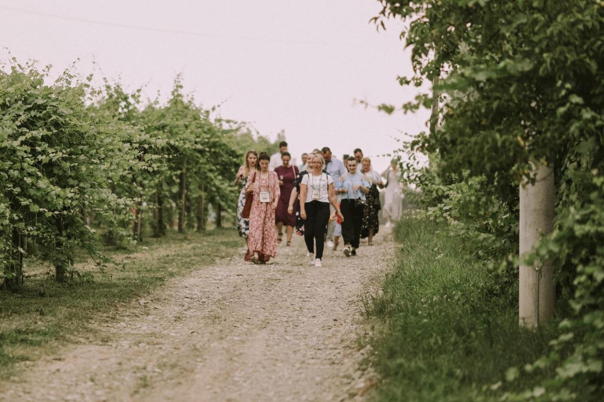 Village Wine House Mandicevac Luaran gambar